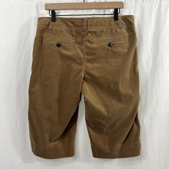 Ann Taylor Loft Tan Velvet Marisa Bermuda Shorts Womens Size 12P Fall Academia - Picture 2 of 8